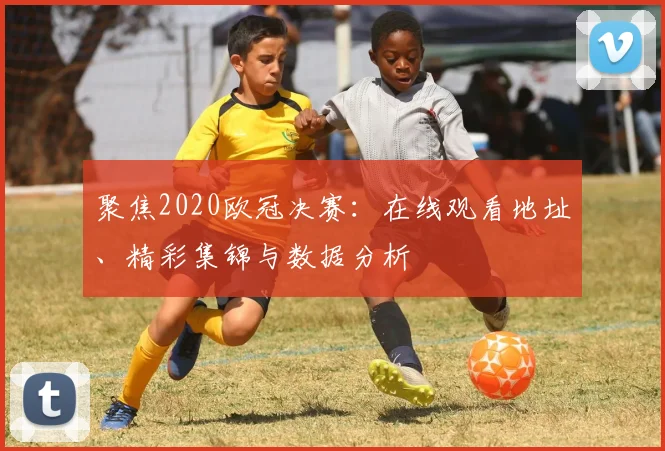 聚焦2020欧冠决赛:在线观看地址、精彩集锦与数据分析