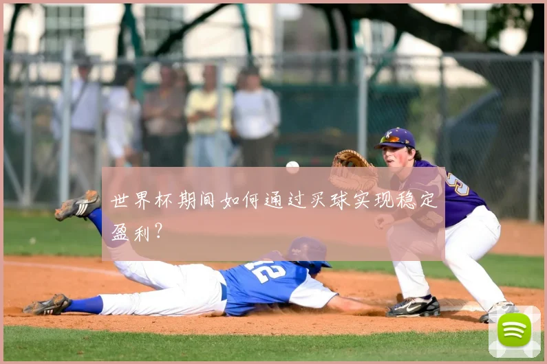 世界杯期间如何通过买球实现稳定盈利？