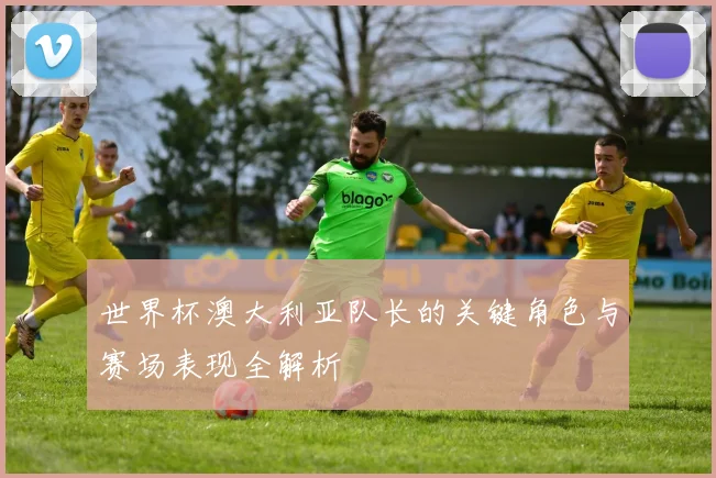 世界杯澳大利亚队长的关键角色与赛场表现全解析