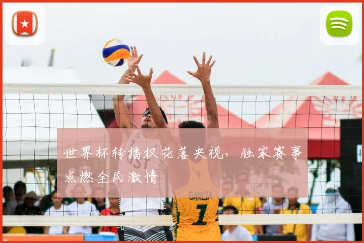 世界杯转播权花落央视，独家赛事点燃全民激情