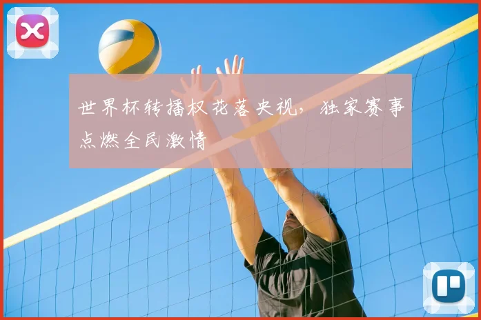世界杯转播权花落央视，独家赛事点燃全民激情