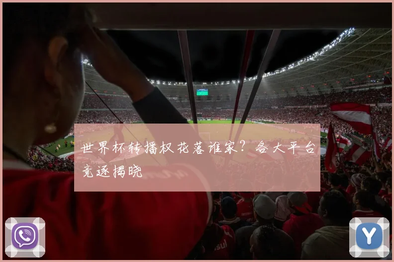 世界杯转播权花落谁家？各大平台竞逐揭晓