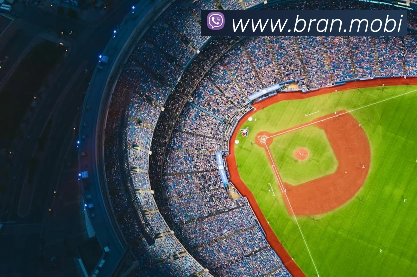 开云手机网页登录网页发展历程