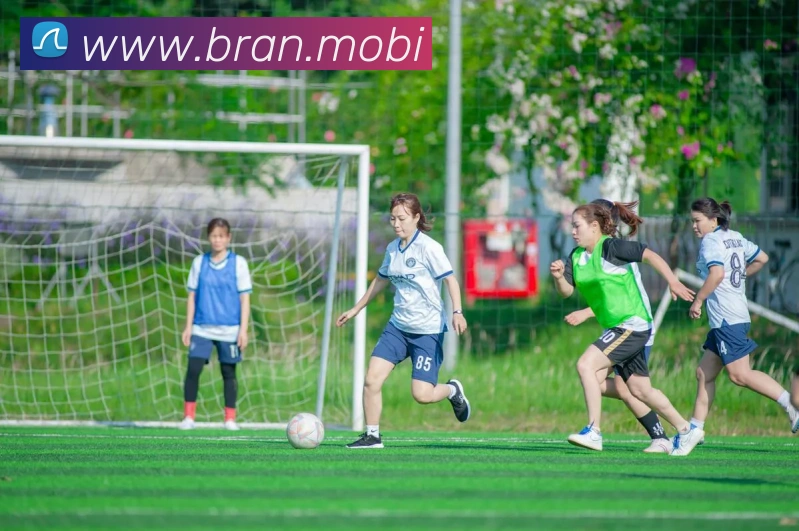 聚焦2020欧冠决赛:在线观看地址、精彩集锦与数据分析